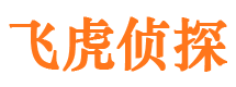 永定市私家侦探